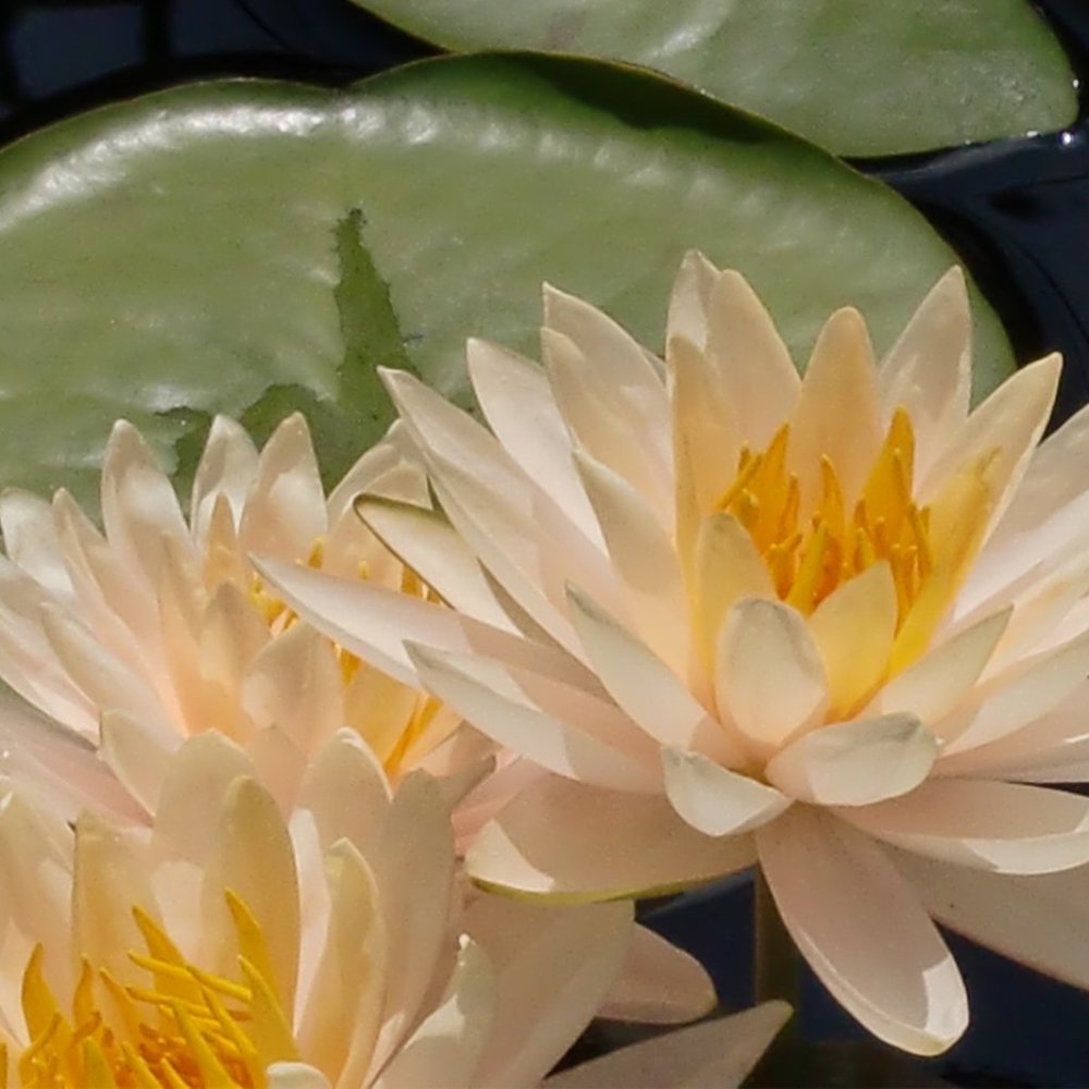 Don't hesitate to make me an offer